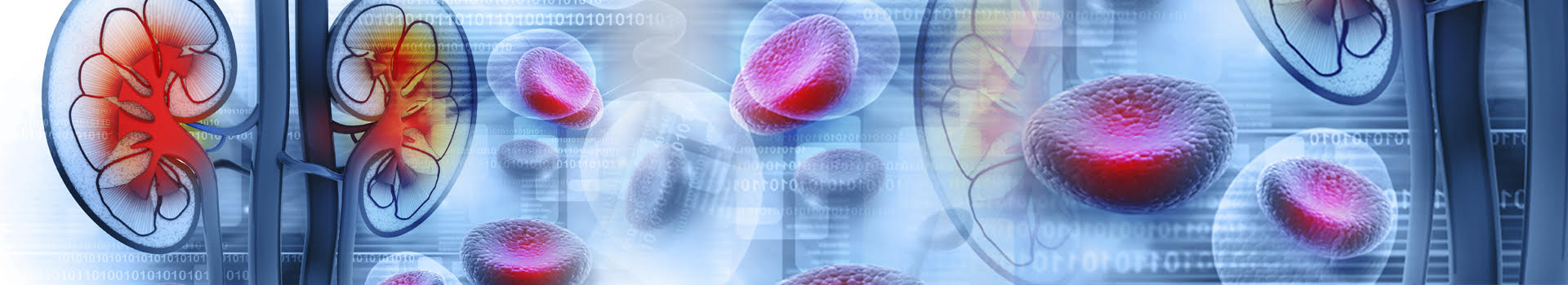 anemia-en-pacientes-con-enfermedad-renal-cronica anemia-en-pacientes-con-enfermedad-renal-cronica